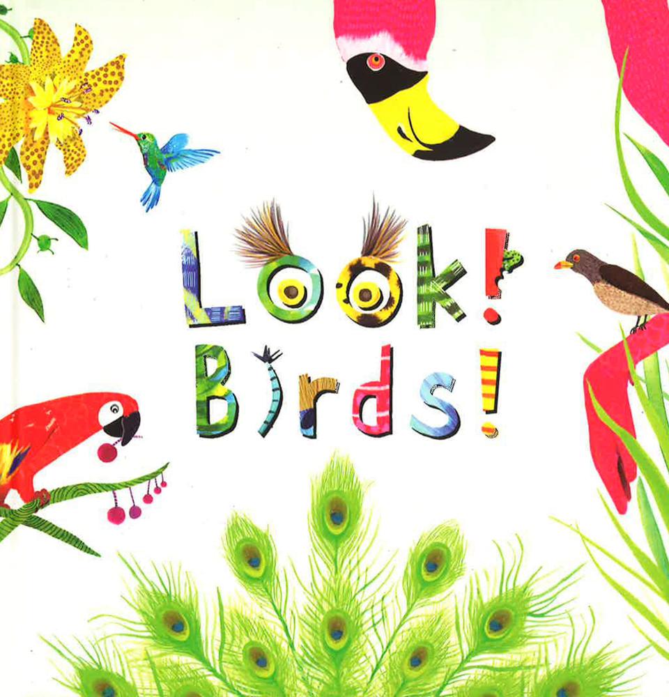 Look! Birds!