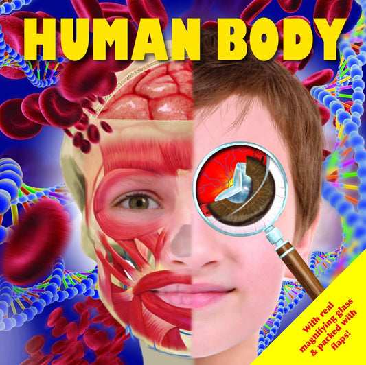Look Closely 2: Human Body
