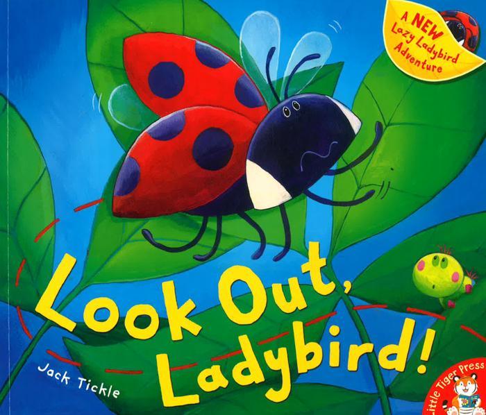 Look Out Ladybird!