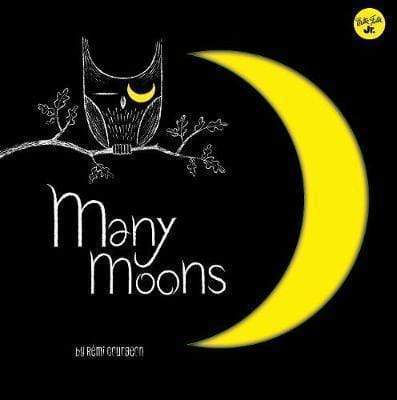 Many Moons : Learn About The Different Phases Of The Moon