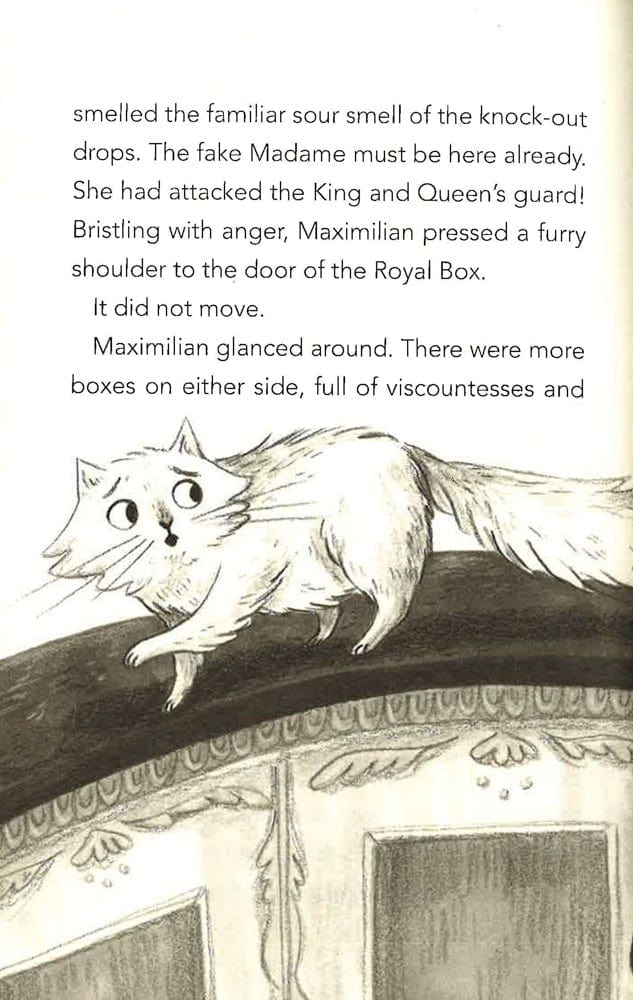 Max The Detective Cat: The Disappearing Diva