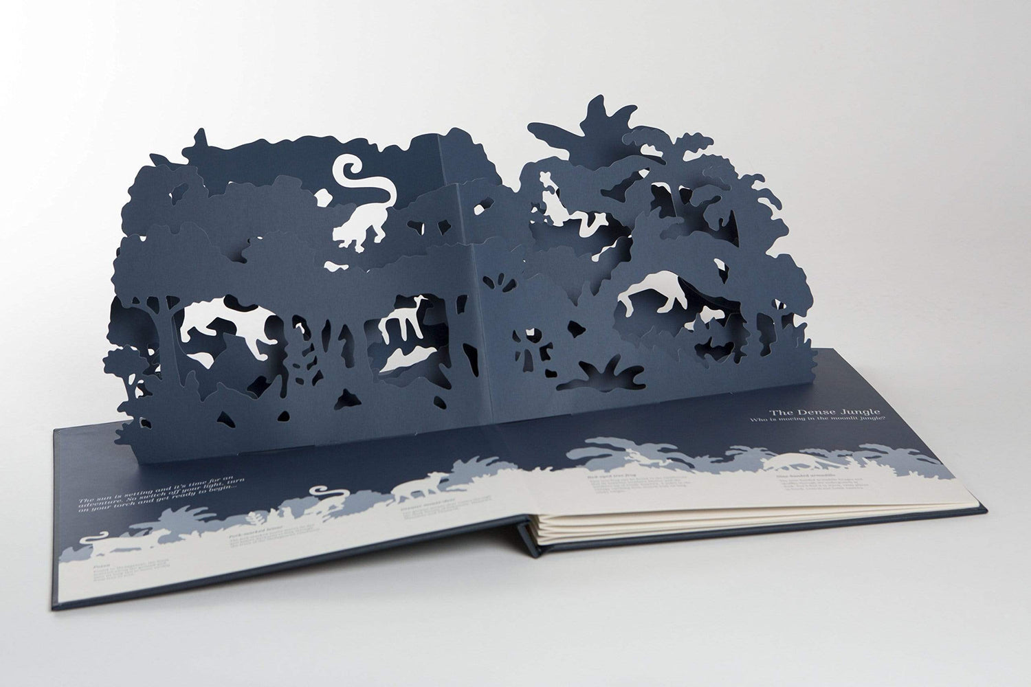 Midnight Creatures: A Pop-Up Shadow Search