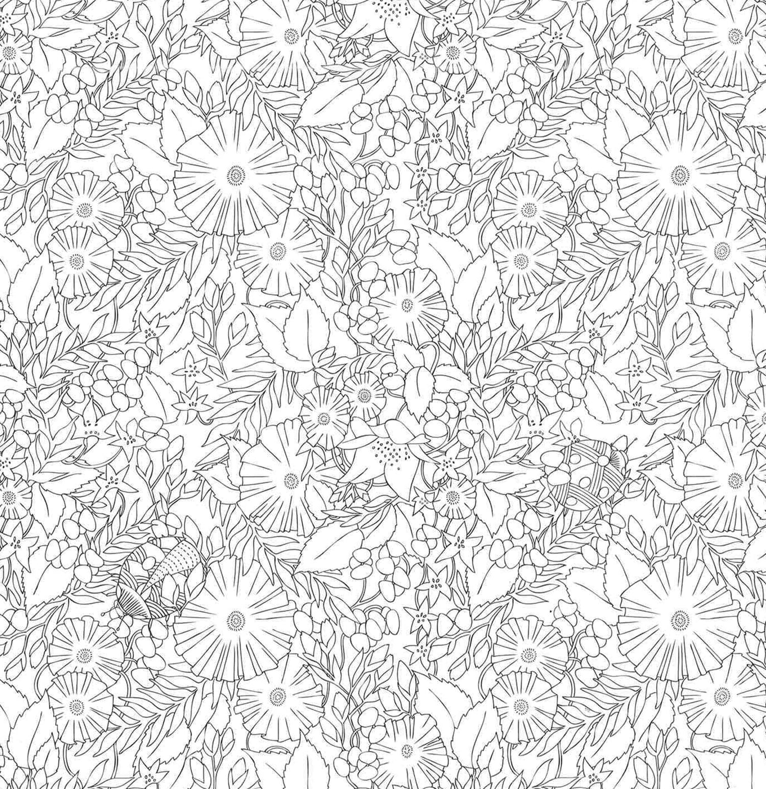 Millie Marotta's Animal Kingdom : Color Me, Draw Me