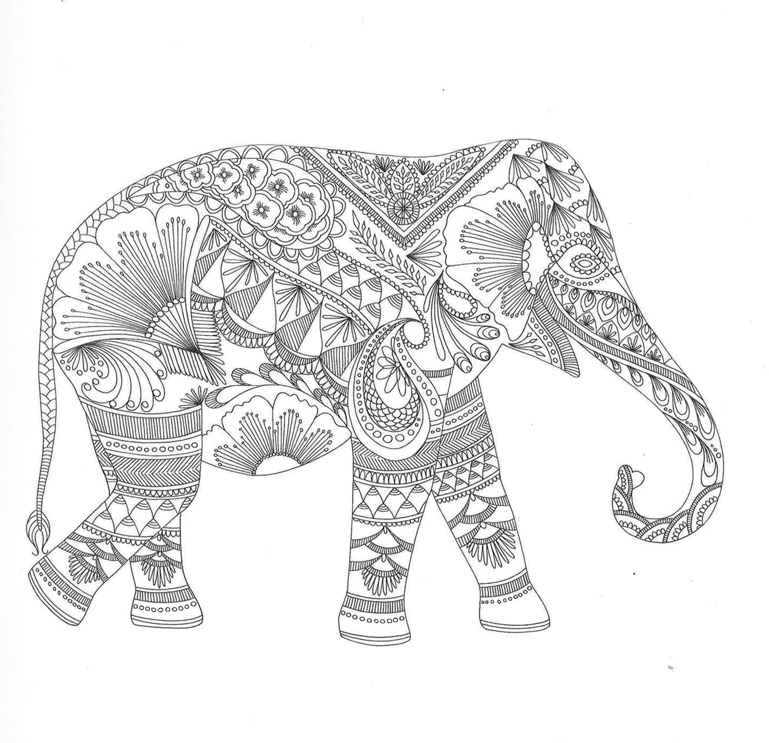 Millie Marotta's Animal Kingdom : Color Me, Draw Me