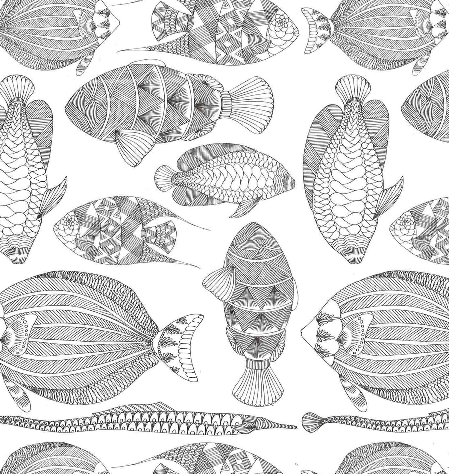 Millie Marotta's Animal Kingdom : Color Me, Draw Me