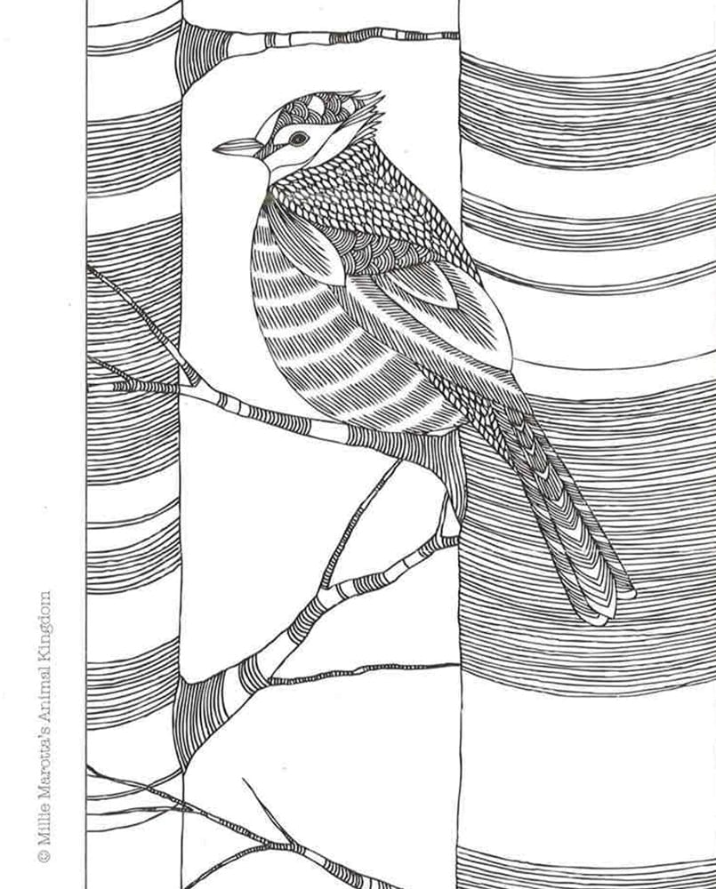 Millie Marotta's Animal Kingdom Postcard Book: 30 Beautiful Cards For Colouring In