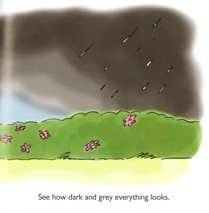 Molly's Rainbow (Hb)