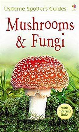 Mushrooms & Fungi