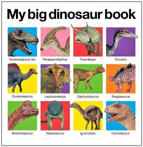 My Big Dinosaur Book (HB)