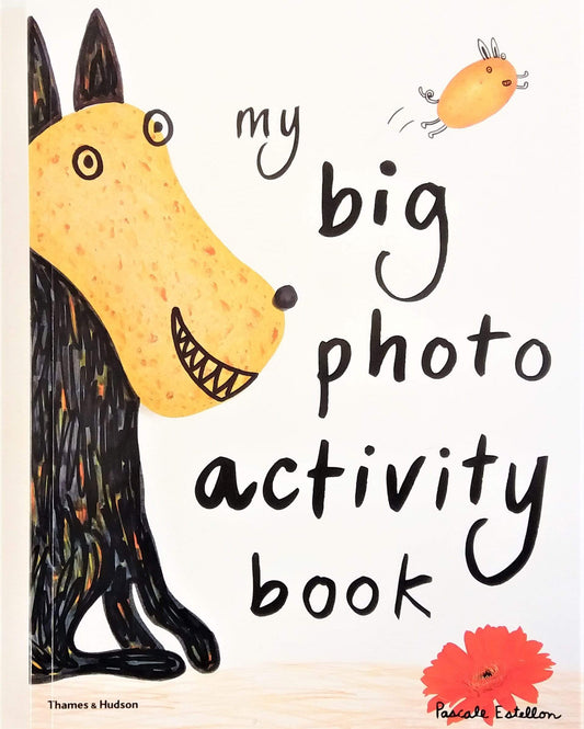 My Big Photo Activity Book
