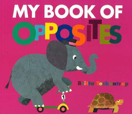 My Book Of Opposites