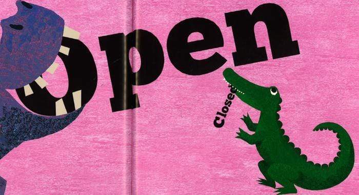 My Book Of Opposites