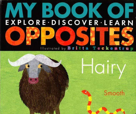 My Book Of Opposites