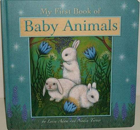 Baby First Rabbit Book My First Book Of Baby Animals – BookXcess