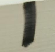 My First Peekaboo: Who Am I?