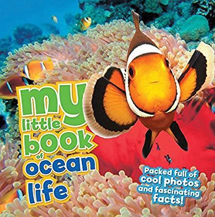 My Little Book Of Ocean Life