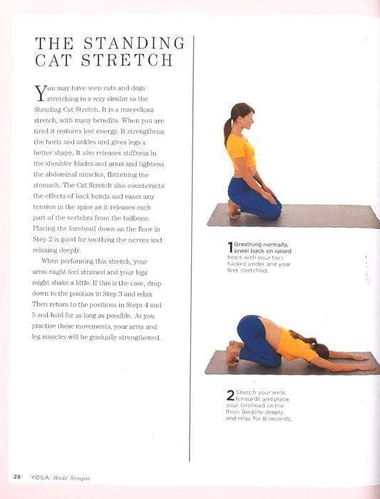 Namaste! Yoga Made Simple