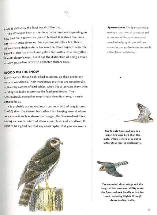 Nick Baker's British Wildlife : A Month-By-Month Guide