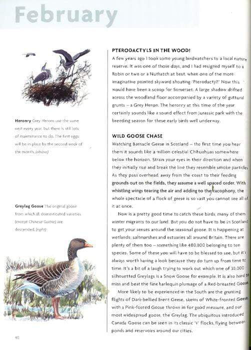 Nick Baker's British Wildlife : A Month-By-Month Guide