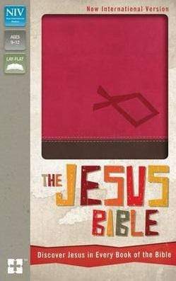 NIV The Jesus Bible