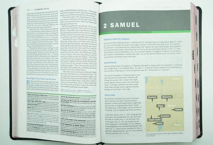 Nkjv Faithlife Illustrated Study Bible