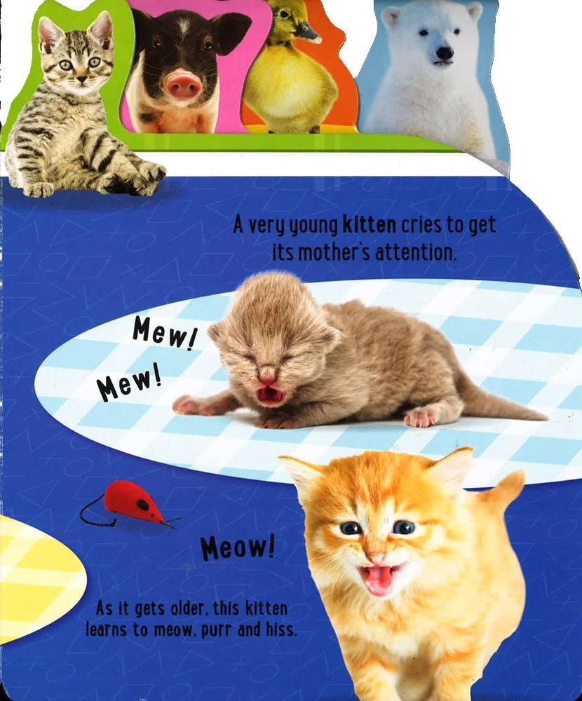 Noisy Baby Animals: With 10 Animal Sounds