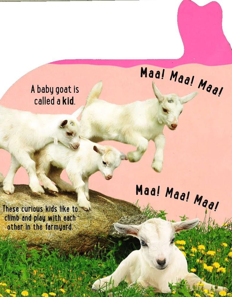 Noisy Baby Animals: With 10 Animal Sounds