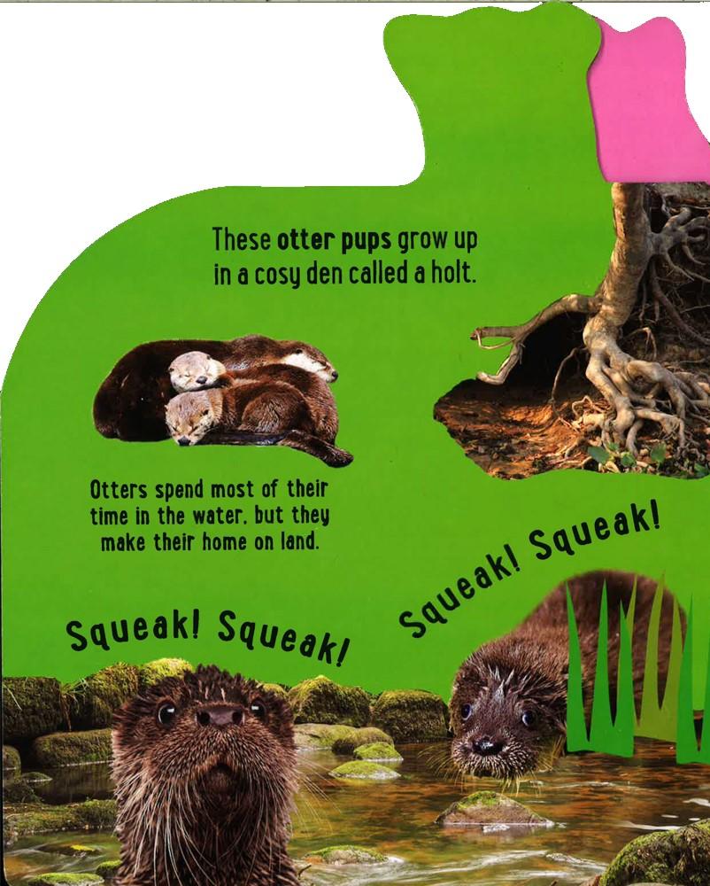 Noisy Baby Animals: With 10 Animal Sounds