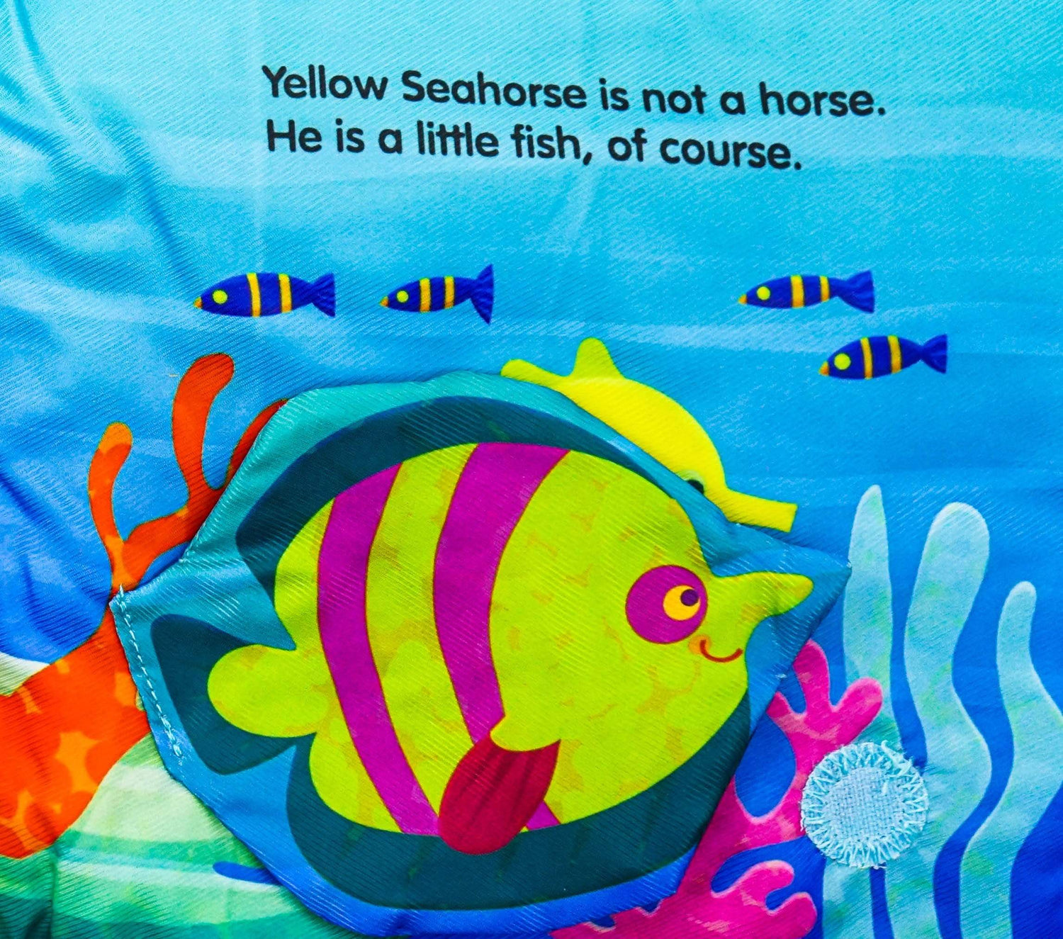 Ocean Colors (Peek-A-Boo Book)