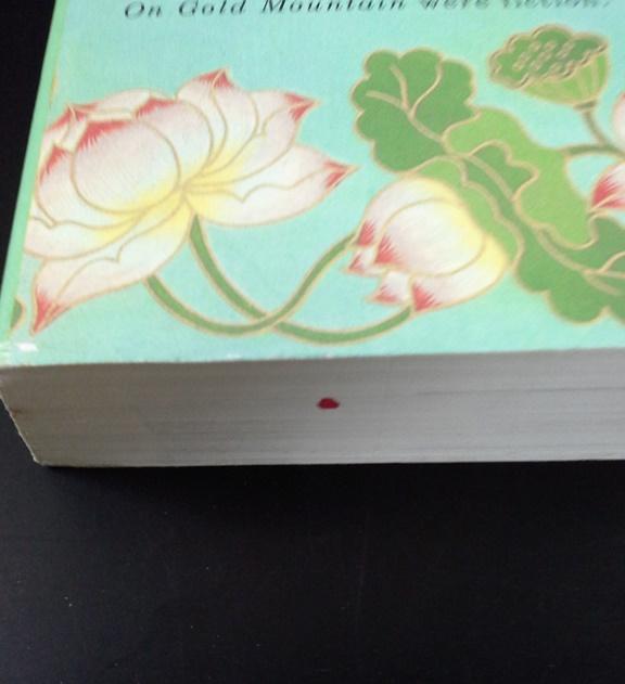 On Gold Mountain: The One-Hundred-Year Odyssey of My Chinese-American Family