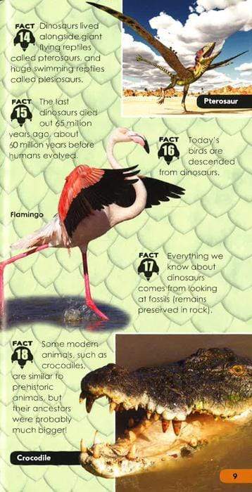 Over 100 Facts For Kids: Dinosaurs