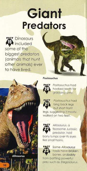 Over 100 Facts For Kids: Dinosaurs