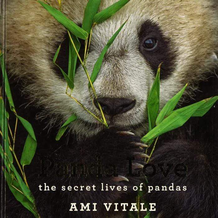 Panda Love: The Secret Lives Of Pandas