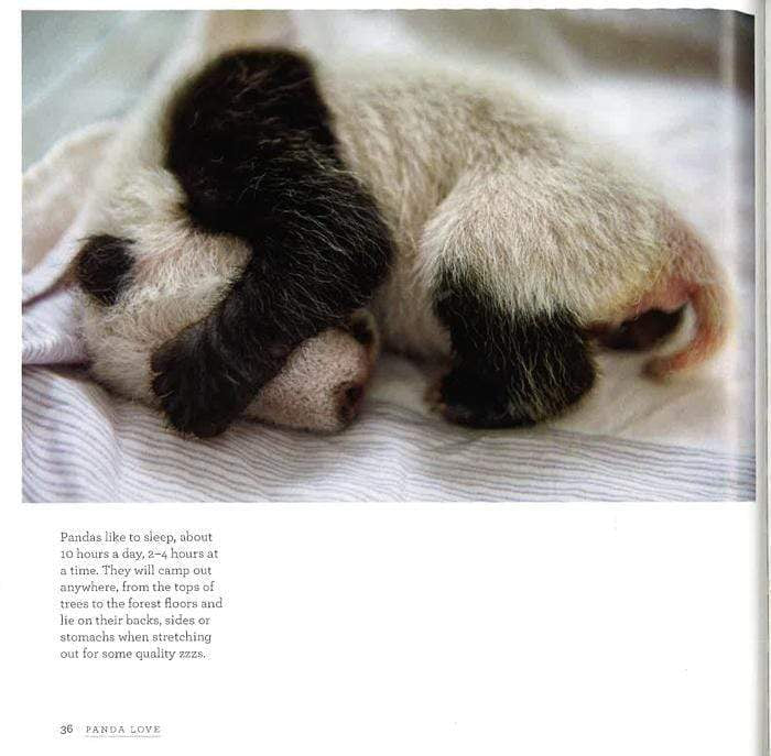 Panda Love: The Secret Lives Of Pandas