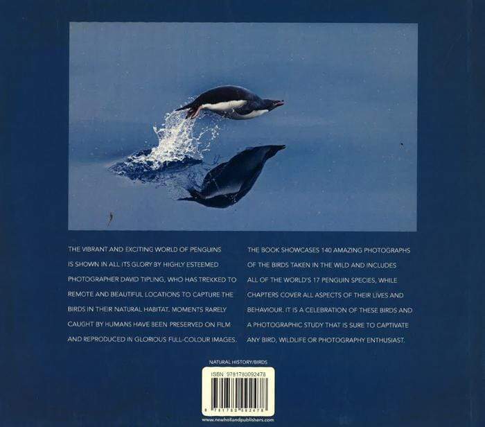 Penguins Close Encounters