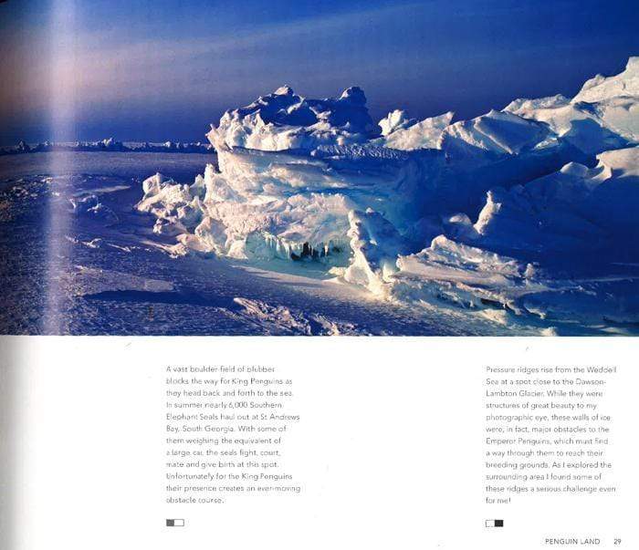 Penguins Close Encounters