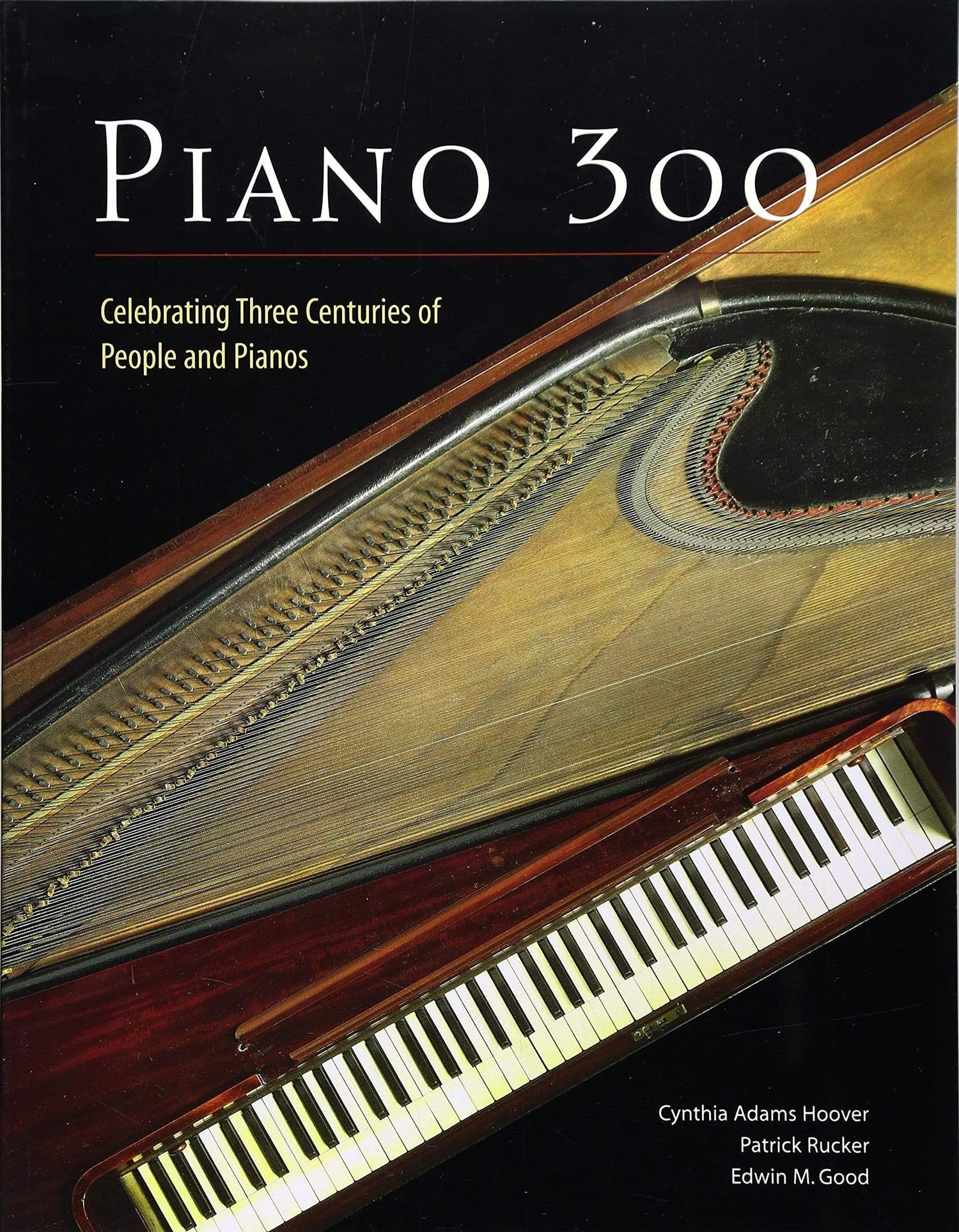 PIANO 300