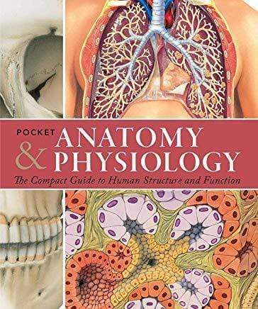 Pocket Anatomy & Physiology : The Compact Guide To The Human Body And How It Works