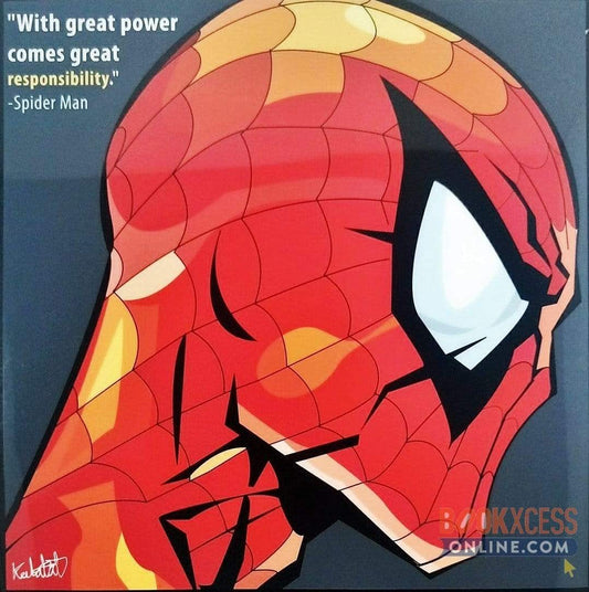 Pop Art: Spiderman - With Great Power (26 CM X 26 CM)