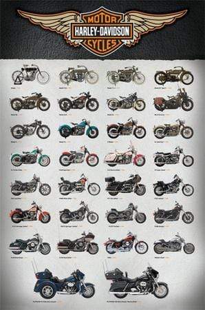 Poster: Harley Davidson Evolution (60 cm X 91.5 cm)