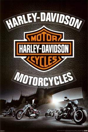 Poster: Harley Davidson Leather (60 cm X 91.5 cm)