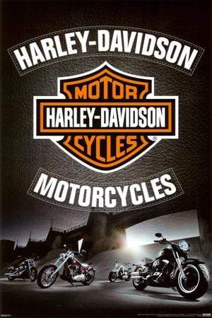 Poster: Harley Davidson Leather (60 cm X 91.5 cm)