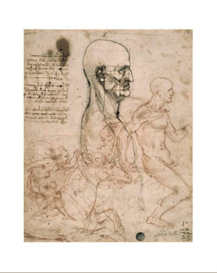 Posters: Leonardo Da Vinci (The Poster Collection) BookXcess