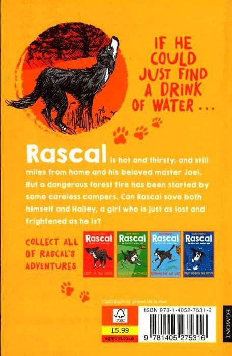 Rascal: Facing The Flames