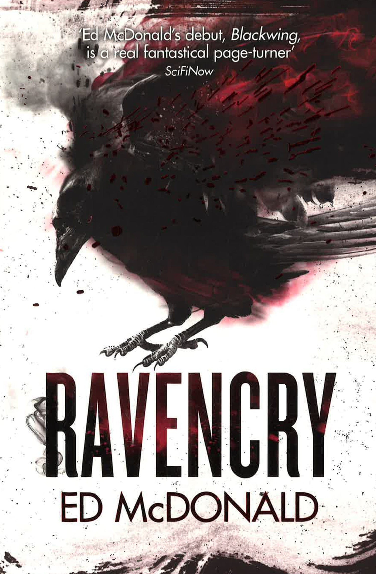 Ravencry: The Raven's Mark Book Two