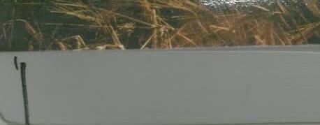 Real Life, Real Miracles