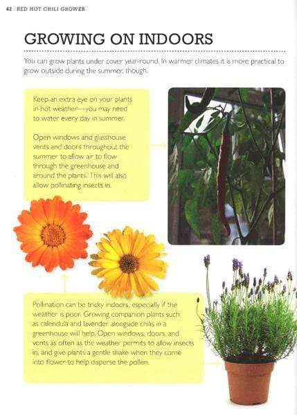 Red Hot Chilli Grower: The Complete Guide To Planting, Picking And Preserving Chillies (Hb)