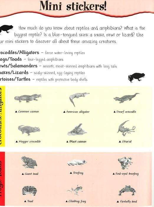 Reptiles And Amphibians Sticker Fun