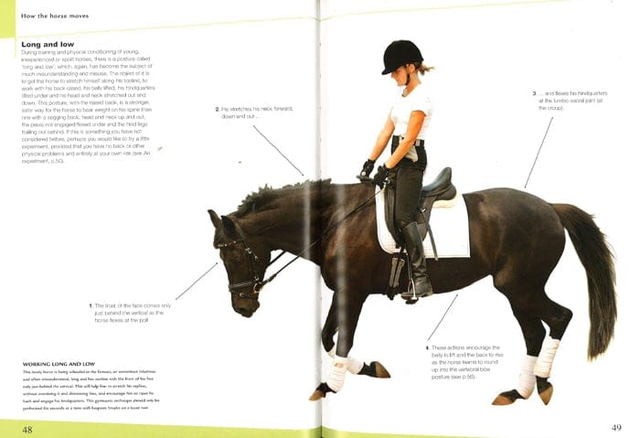 Revolutionise Your Riding