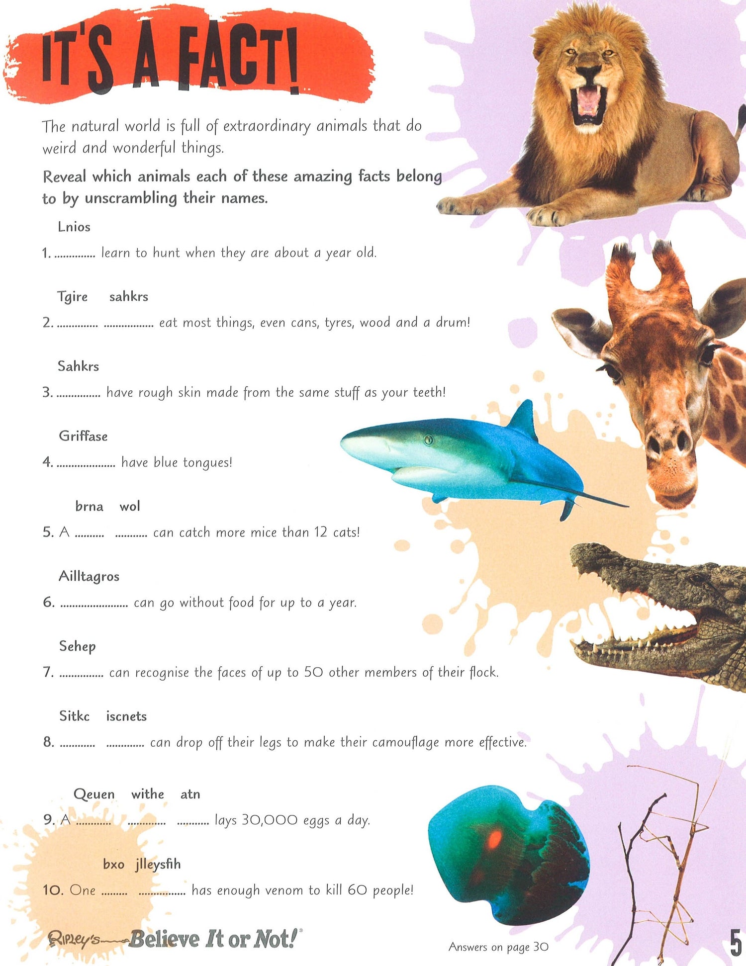 Ripley's Awesome Activity Book and Crazy Drawing Book